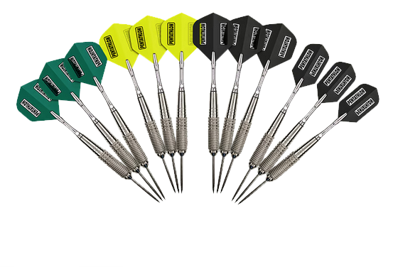 Basic Steeldarts-Set 21 Gramm verschiedene Ausführungen